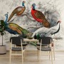Historical Vintage Peacock Art Wallpaper Mural