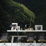 Aerial Nature Forest on Mountains View Wallpaper Mural
