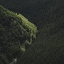 Aerial Nature Forest on Mountains View Wallpaper Mural