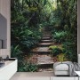 Jungle Pathway Wallpaper Mural