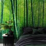 Bamboo Forest Wallpaper Mural