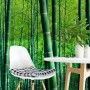 Bamboo Forest Wallpaper Mural