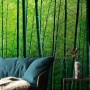 Bamboo Forest Wallpaper Mural