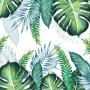 Tropical Palm Leaf Wallpaper Mural