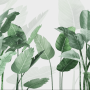 Fresh Green Tropical Leaf Wallpaper Mural