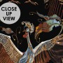 Crane Birds and Flowers with Golden Cage Wallpaper Mural