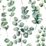 Watercolor Eucalyptus Leaf Wallpaper Mural