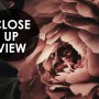 Dark Floral Bouquet with Red Peony and Lily Wallpaper Mural