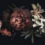 Dark Floral Bouquet with Red Peony and Lily Wallpaper Mural