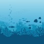 Kids Underwaters and Fish Wallpaper Mural