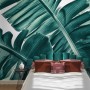 Tropical Palm Leaves Wallpaper Mural