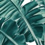 Tropical Palm Leaves Wallpaper Mural