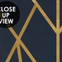 Luxury Geometric Lines  Art Deco Wallpaper Mural