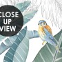 Tropical Banana Leaf with a Bird Wallpaper Mural