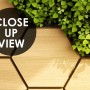 Hexagon Honeycomb Pattern and Fresh Grass Wallpaper Mural