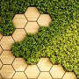 Hexagon Honeycomb Pattern and Fresh Grass Wallpaper Mural