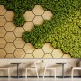 Hexagon Honeycomb Pattern and Fresh Grass Wallpaper Mural