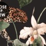 Watercolor Dark Tropical Art with Leopard Wallpaper Mural