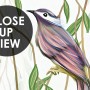 Green Hanging Leaves with Colorful Birds Wallpaper Mural