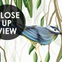 Green Hanging Leaves with Colorful Birds Wallpaper Mural