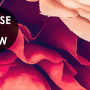 Red Dahlia Rose Floral Bouqet Wallpaper Mural