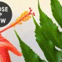 Realistic Tropical Jungle Plants Landscape Wallpaper Mural