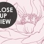 Poppy Drawing Floral Wallpaper Mural