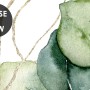 Watercolor Green Eucalyptus Leaf Wallpaper Mural