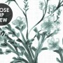 Monochrome Botanical Plants Chinoiserie Wallpaper Mural