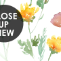 Watercolor Colorful Botanical Wild Flower Wallpaper Mural