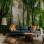 Tropical Forest Jungle Scenery Wallpaper Mural