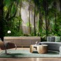 Tropical Forest Jungle Scenery Wallpaper Mural