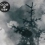 Watercolor Style Abstract Misty Dark Forest Wallpaper Mural