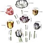 3D Dutch Floral Colorful Tulips Wall Decal Sticker