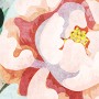Chinoiserie Peony Blossom with Chinese Birds Wallpaper Mural