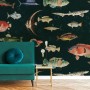 Vintage Ocean Fish Art Wallpaper Mural