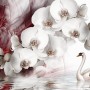 Swan and White Orchid with Red Smoke Pattern Wallpaper Mural