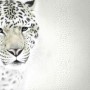 3D Look Monochrome Tiger Wallpaper Mural