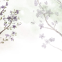 Watercolor Magnolia Floral Wallpaper Mural