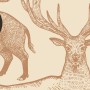 Nordic Animal Drawing for Kids Wallpaper Mural