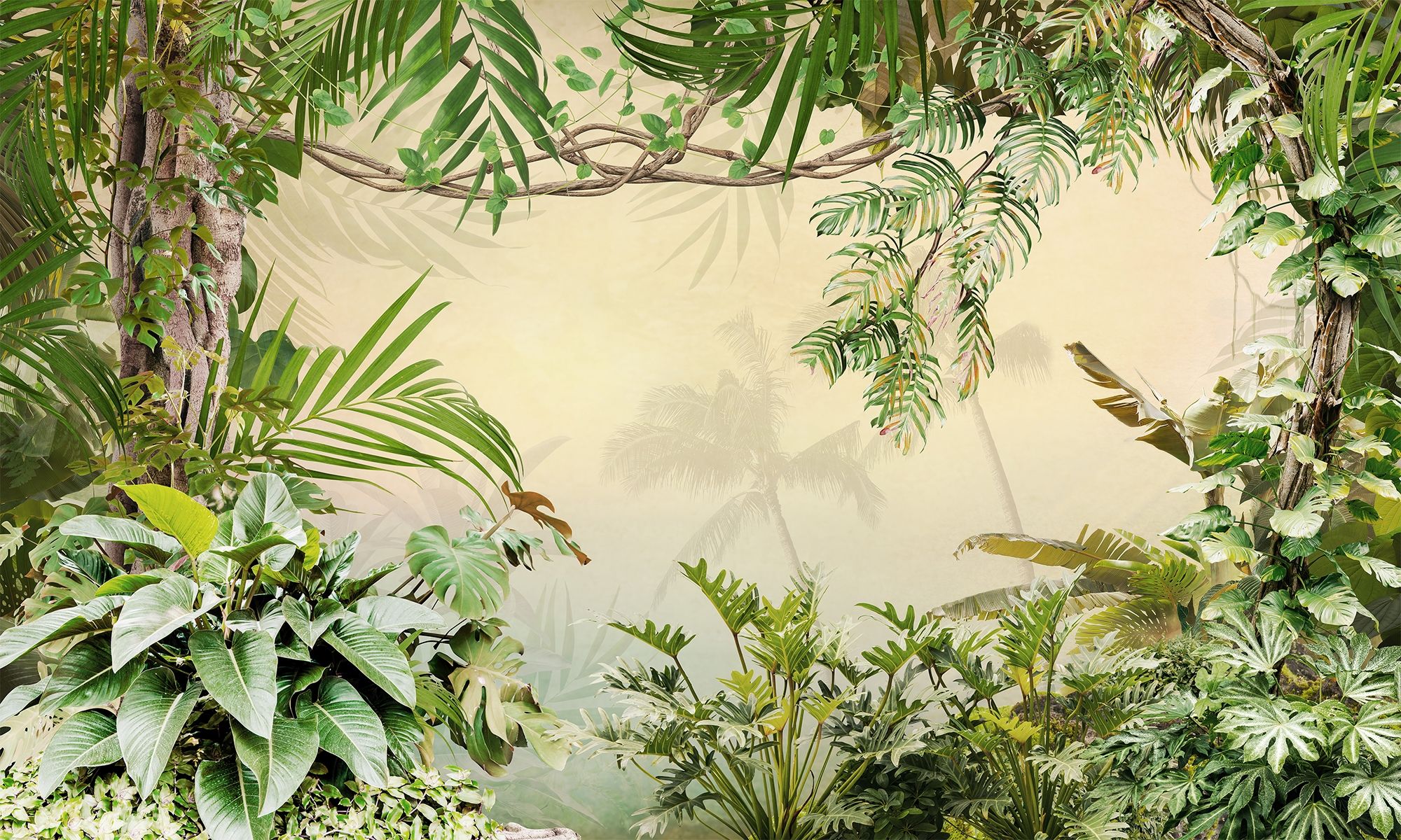 Tropical Rainforests Wallpaper