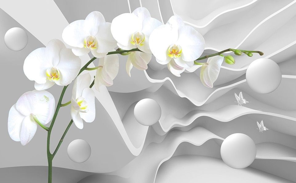 White Orchid Wallpaper