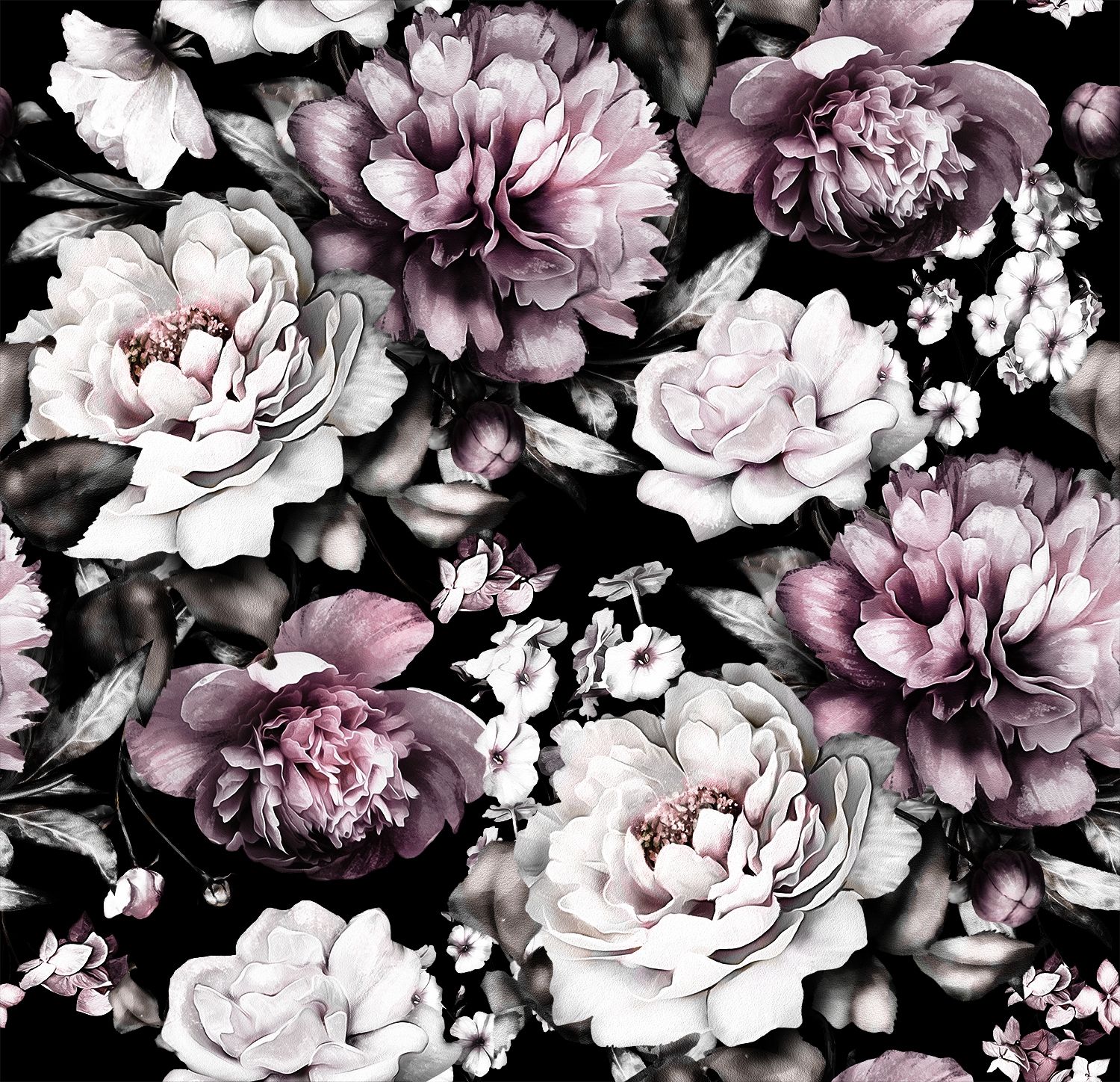 HD wallpaper white peony in bloom closeup photography petaled flower  dark  Wallpaper Flare