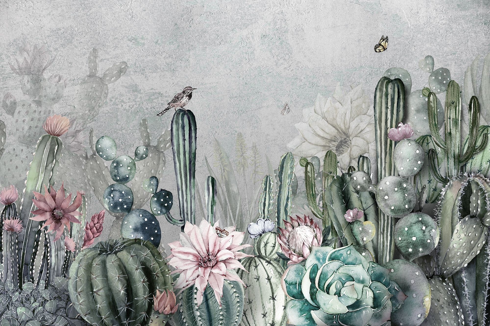 Cactus background shop