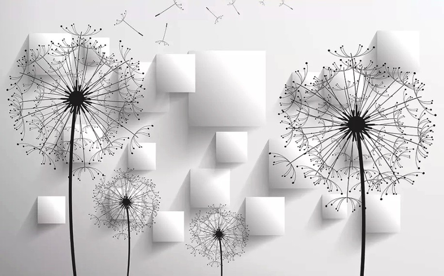 white dandelion wallpaper