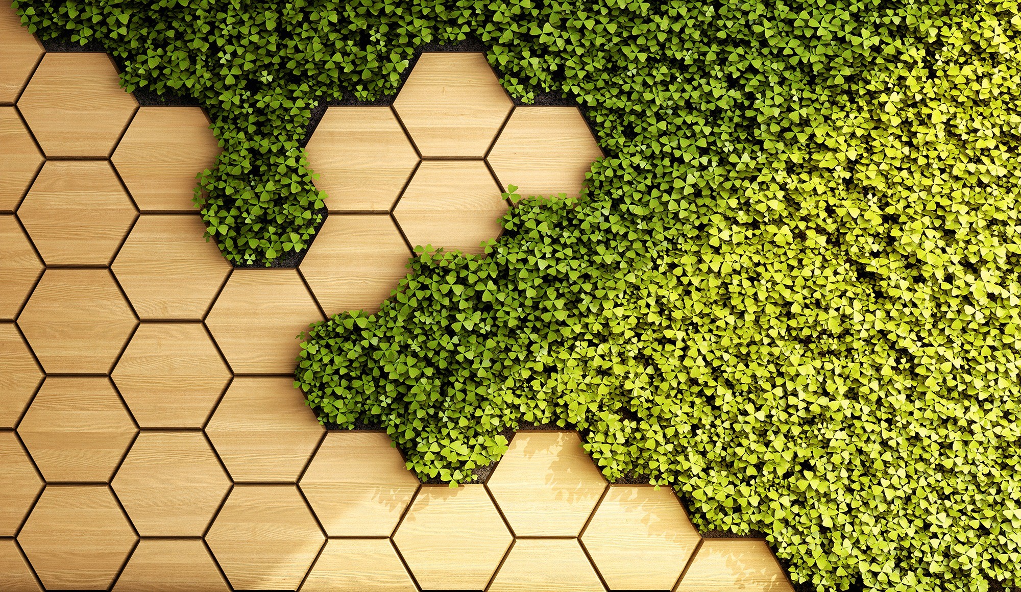 sage green hexagon wallpaper