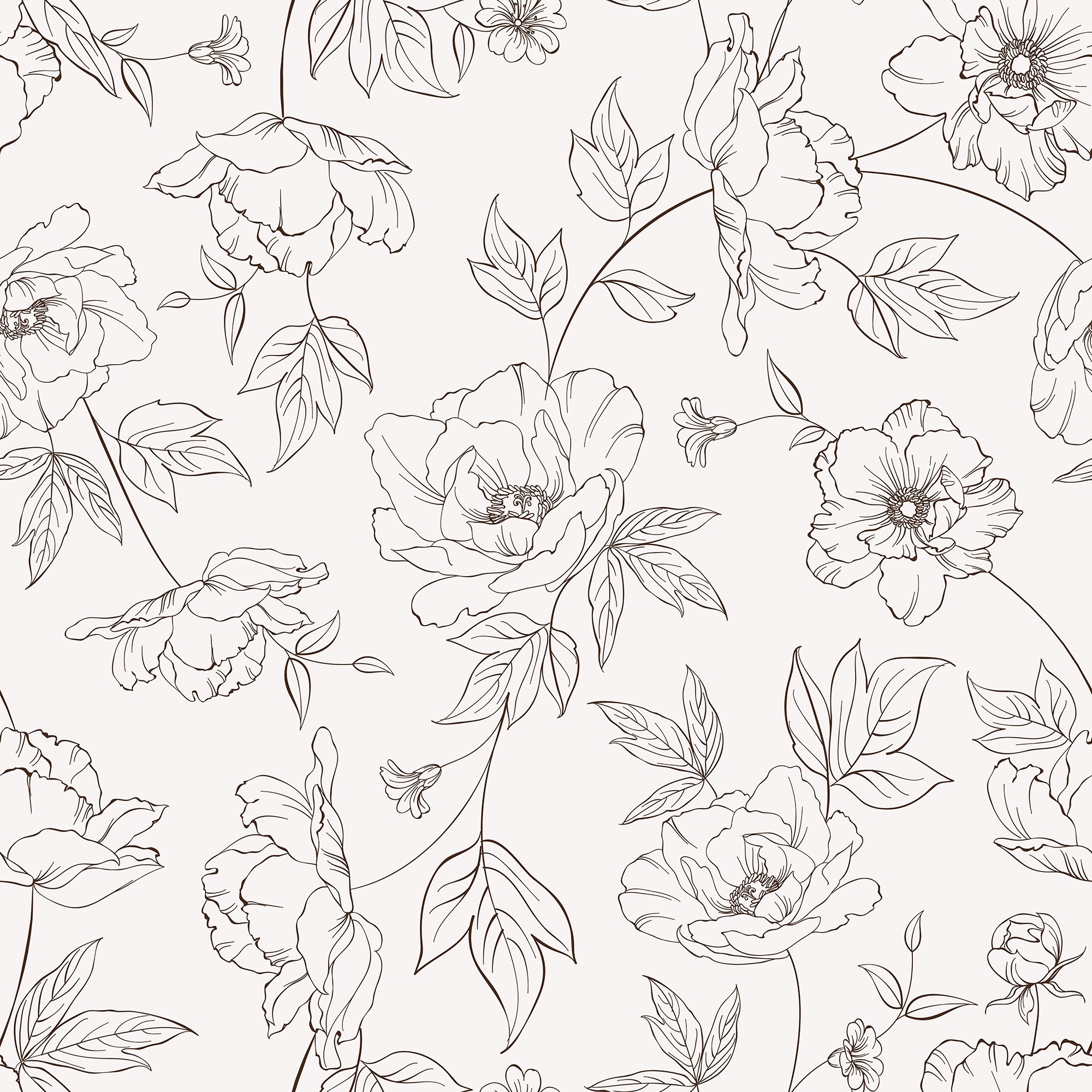 Poppy Drawing Floral Wallpaper Mural • Wallmur®