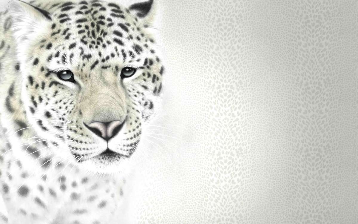 3d wallpaper janwar