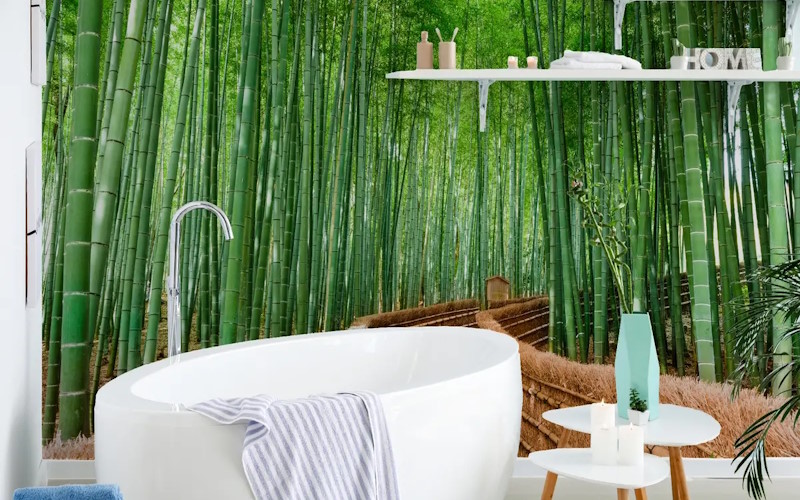 Bamboo Forest Oasis Wallpaper Mural